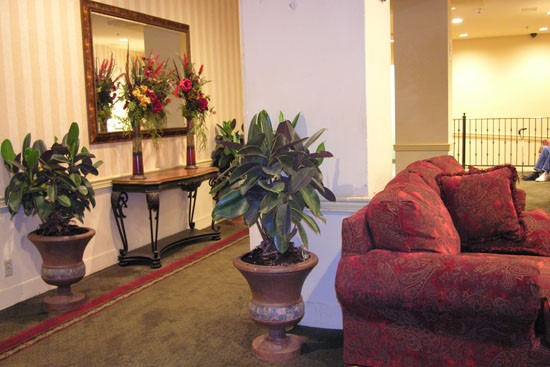 Fairmont Apartments potted plants and red lounge chairs